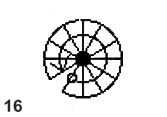 16 (1)